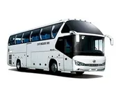 Автобусы