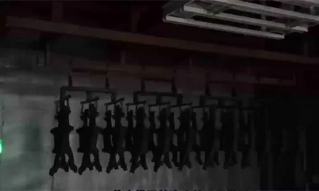 Печь после процесса электроокрашивания